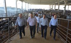 Kurban Bayramı tedbirleri tamam