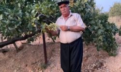 ‘FISTIK FİYATININ DÜŞMEMESİ LAZIM’