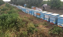 ‘SEKTÖRÜMÜZ DİJİTALLEŞİYOR’