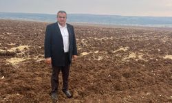 YAĞIŞA RAĞMEN KURAKLIK TEHLİKESİ SÜRÜYOR