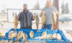 Günübirlik tutulan taze balıklara ilgi artıyor