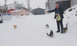 Sokak hayvanları için köyü terk etmiyor!