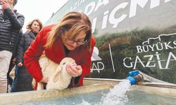 Meralarda hayvanlar temiz suya kavuştu