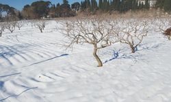 ÇiFTÇiNiN YÜZÜ GÜLDÜ