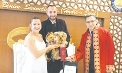 Betty ve Barney isimli köpekler mutluluğa adım attı