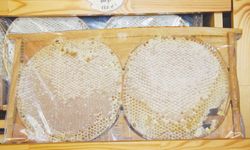 ‘Doğal ve organik bal üretiyoruz’