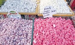 Antep fıstıklı badem şekeri görücüye çıktı!