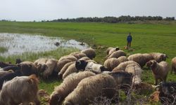 ÜRETİCİYE İHRACAT DOPİNGİ