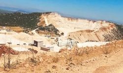 ‘Ormanlar yok ediliyor’