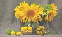 Doğanın dönüşümünü yansıtan çalışmalar sergilenecek