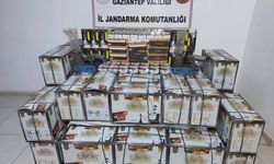 Gümrük kaçakçılığıyla mücadele sürüyor