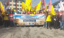 ÖĞRETMENLERİN PROMOSYON ÇİLESİ