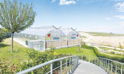 ‘Atıklardan üretilen elektrikle topraksız tarım tekniğini bulduk’