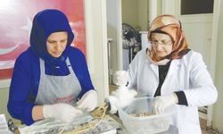 ‘Günlük 100 kilogram yuvalama üretiyoruz’