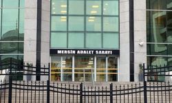 Örgüt üyelerine şok baskın!