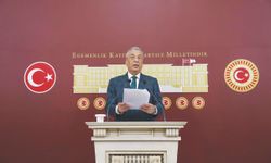 ‘Okullardaki saldırılara karşı yol haritası oluşturulmalı’