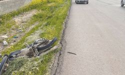 Ani manevra yapan otomobil kazaya neden oldu