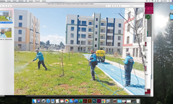 Yabani otlar ve haşereyle ilaçlı mücadele sürüyor!