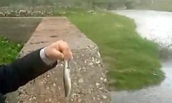 Ardıl Çayı yıllar sonra yeniden akıyor