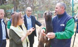 ‘Doğa dostu ve hayvan dostu bir şehiriz’