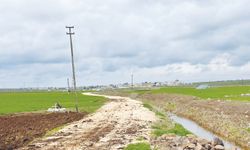 ‘Tarımsal üretim maliyetleri düşürülmeli’