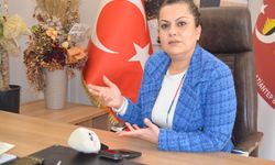 ‘Düzenlemenin etkin uygulanması için kurumsal altyapı oluşturulmalı’