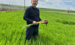 ‘ÇİFTÇİYİ TÜCCARA MAHKUM ETMESİNLER’