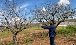 DOLU VE SEL BÜYÜK HASAR VERDİ