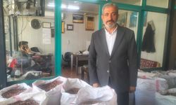 ORTADOĞU’DAKİ SAVAŞ FISTIK SEKTÖRÜNÜ VURDU