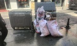 ÇÖPLER KÖTÜ GÖRÜNTÜYE VE KOKUYA NEDEN OLDU