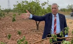 ‘İklim krizi ve doğal afetler çiftçiyi vuruyor’