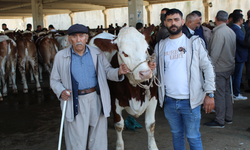 KURBANLIK FİYATLARI CEP YAKACAK