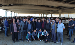 KURBANLIK FİYATLARI BELLİ OLDU