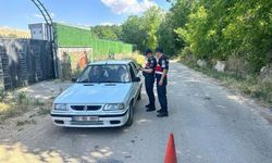 Gümrük kaçakçılığıyla mücadele sürüyor