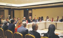 ‘Türkiye, yeni bir ekonomi politikası çerçevesinde yönetiliyor’