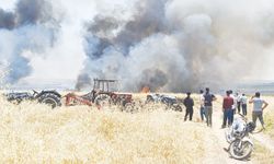 400 dönüm ekili alan alev alev yandı