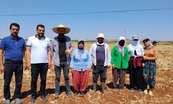 ‘TOPRAĞIMIZ TEHLİKE ALTINDA’