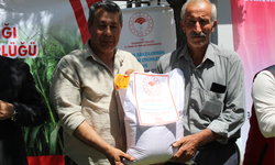 ÇİFTÇİLERİN YEM MALİYETİ DÜŞECEK