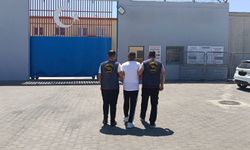 Suçlulara göz açtırmıyorlar!