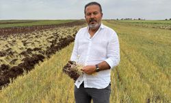 HUBUBAT HASADINDA SONA GELİNDİ!