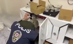 Siber suçlardan tutuklanan 77 şüphelinin 37’si cezaevinde!