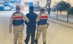 116 kök kenevir ele geçirildi