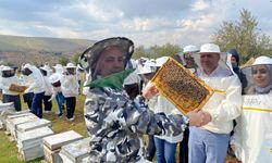 BAL ÜRETİMİNDE SON 8 YILIN REKORU KIRILDI!