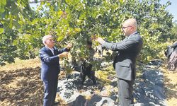 ‘Antep fıstığının gelecek yıllarda daha fazla tanıtılması gerek’