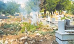 Mezarlıkta kapsamlı temizlik ve bakım yapıldı