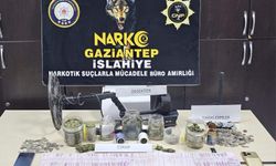 Tarihi eser operasyonu: 495 sikke ele geçirildi