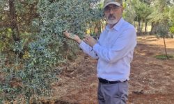 ‘ÜRETİMİ, ÜRETİCİYİ VE KIRSAL GELECEĞİMİZİ BİRLİKTE KORUYALIM’