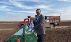 ‘TARLALAR BOŞ KALMA RİSKİYLE KARŞI KARŞIYA’
