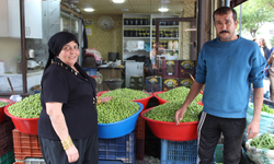 YEŞİL ZEYTİN TEZGAHLARDA!