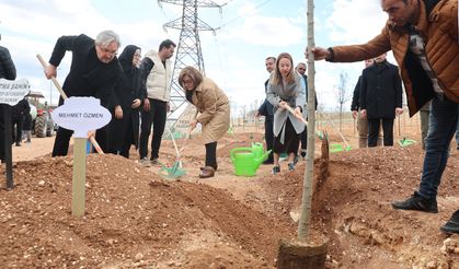 Yeşil Antep Projesi ile fidanlar toprakla buluştu